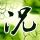 mr green 99 free spins greek gods pragmatic play [Heavy rain warning] Announced in Kunohe village, Iwate prefecture situs betcash303